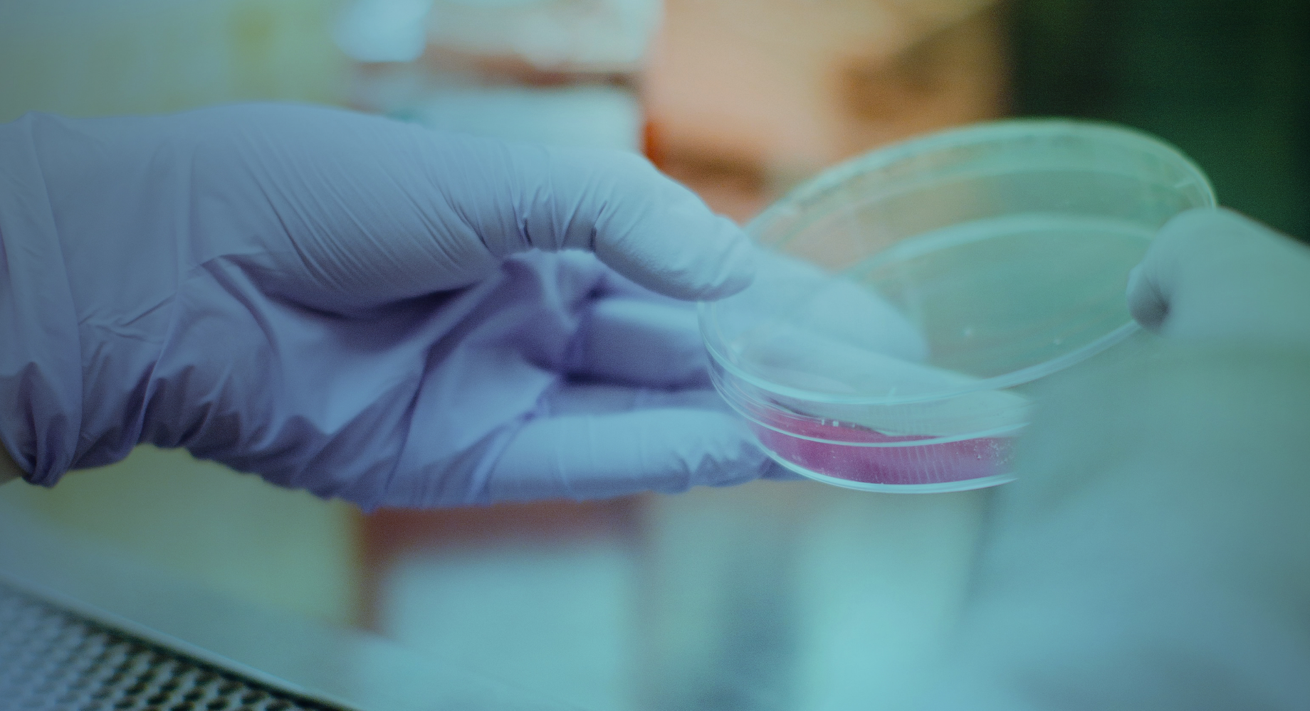 Prevent Pandemics - BG